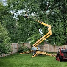 Best Tree Health Inspection  in Rancho Laveras, CA